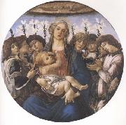Sandro Botticelli Madonna and child with eight Angels or Raczinskj Tondo oil painting artist